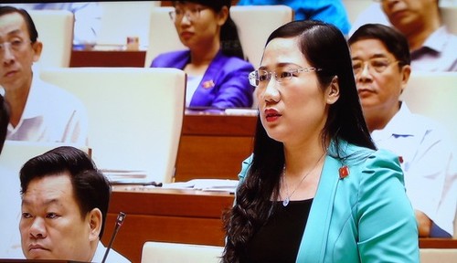 Вьетнамский парламент рассматривает проект исправленного Уголовного кодекса - ảnh 1